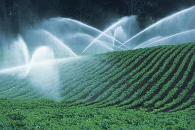 Agricultural Irrigation System